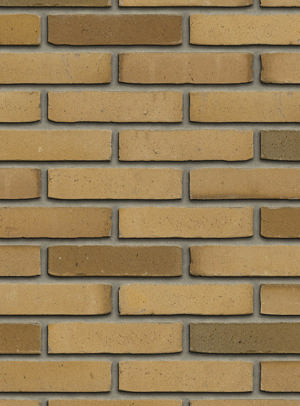 Aqua Beige WF Redux