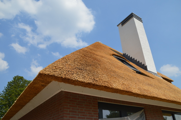 Barendrecht (NL) - Roodpaars HV WF 