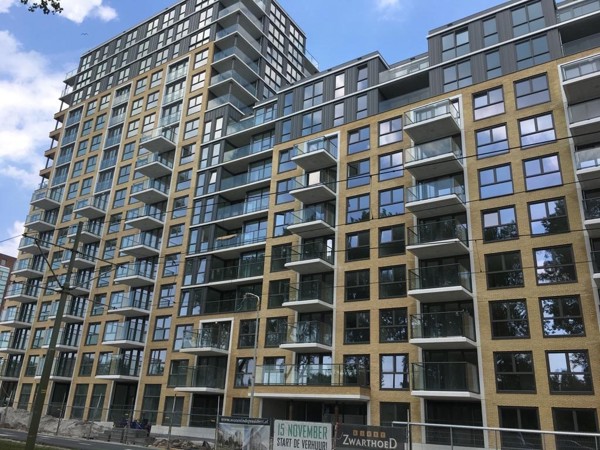 Den Haag (NL)  De President -  Aqua Geel WF 2019