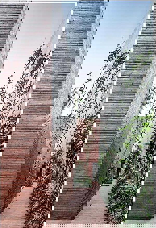 Mexico - Corso Terra Rolled PG (S.Anselmo)