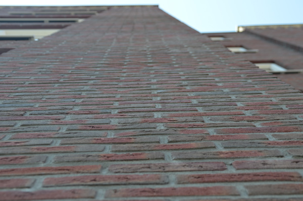 Lisse (NL) - Bommels Bont HV WF Redux en Aqua Geel  WF (kroon)