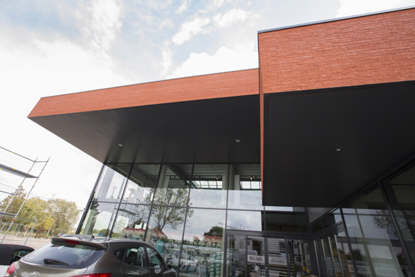 Putte (BE) - Amaranthis Rock DL50