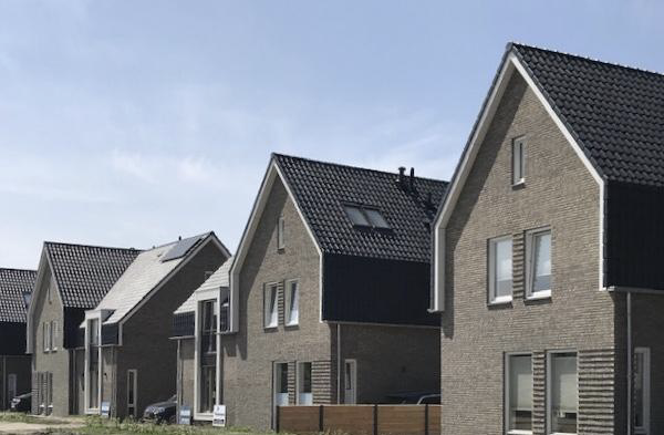 Mierlo (NL) - Lepus WF HV