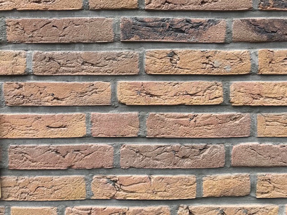 Tilburg (NL) Gamers Bont WF HV